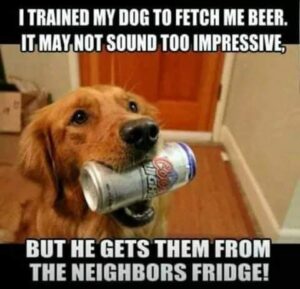 dog fetches beer