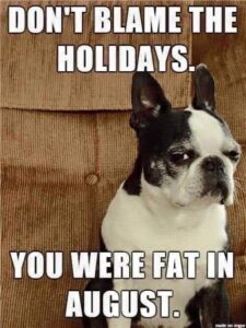 don't blame the holidays