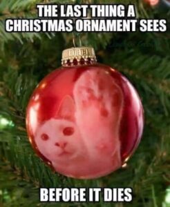 the last thing an ornament sees