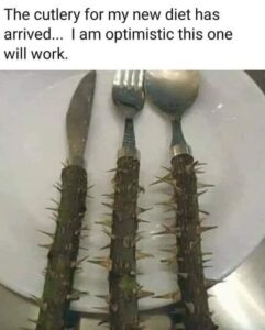 cutlery for diet