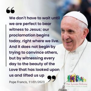 don't wait to be perfect pope francis
