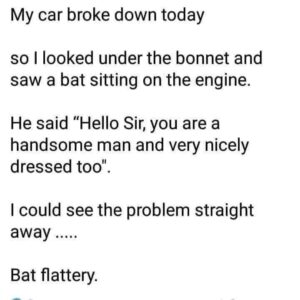 bat flattery