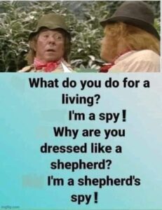 shepherds spy