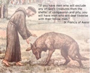 st francis of assisi