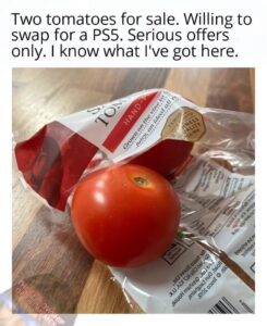 tomatoes for sale